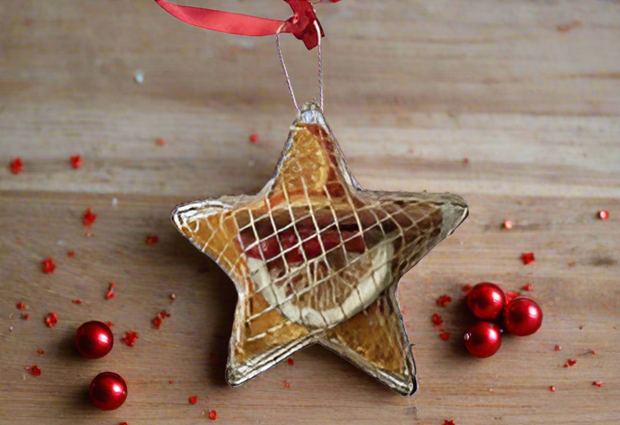 FESTIVE SPICE POT POURRI